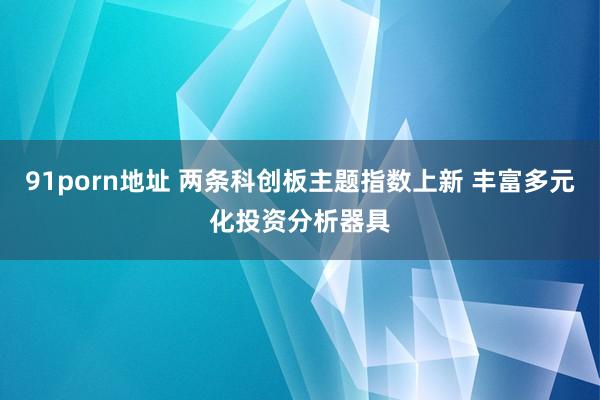 91porn地址 两条科创板主题指数上新 丰富多元化投资分析器具