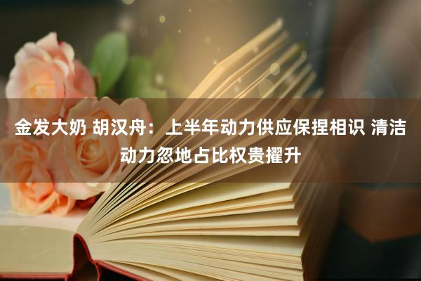 金发大奶 胡汉舟：上半年动力供应保捏相识 清洁动力忽地占比权贵擢升