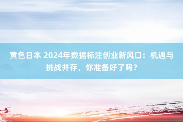 黄色日本 2024年数据标注创业新风口：机遇与挑战并存，你准备好了吗？