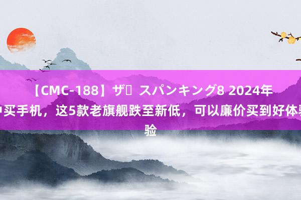 【CMC-188】ザ・スパンキング8 2024年中买手机，这5款老旗舰跌至新低，可以廉价买到好体验