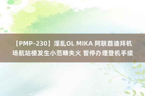 【PMP-230】淫乱OL MIKA 阿联酋迪拜机场航站楼发生小范畴失火 暂停办理登机手续