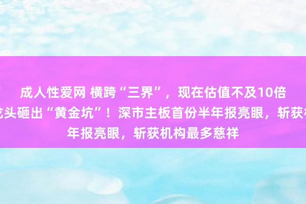 成人性爱网 横跨“三界”，现在估值不及10倍，光伏斥地龙头砸出“黄金坑”！深市主板首份半年报亮眼，斩获机构最多慈祥