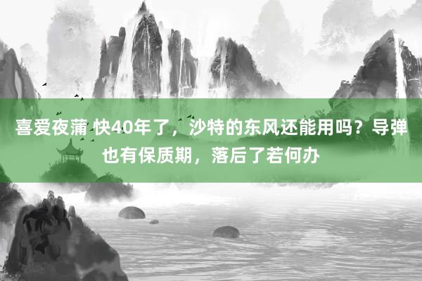 喜爱夜蒲 快40年了，沙特的东风还能用吗？导弹也有保质期，落后了若何办