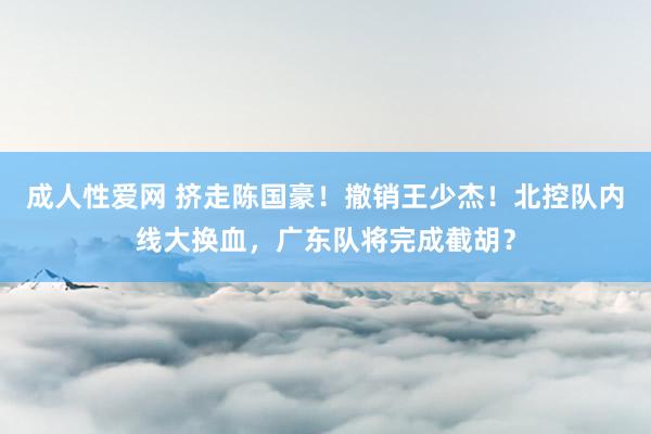 成人性爱网 挤走陈国豪！撤销王少杰！北控队内线大换血，广东队将完成截胡？