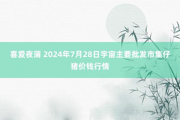 喜爱夜蒲 2024年7月28日宇宙主要批发市集仔猪价钱行情