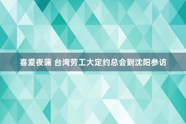 喜爱夜蒲 台湾劳工大定约总会到沈阳参访