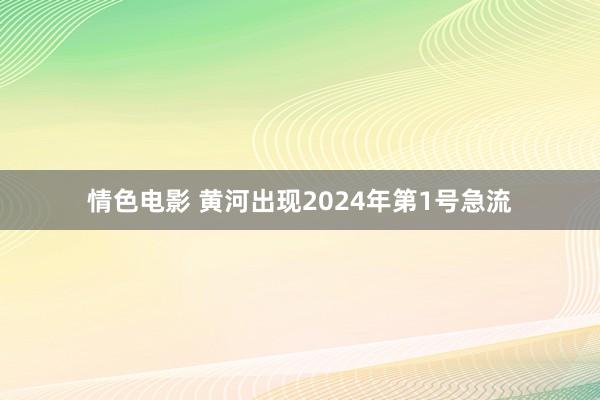 情色电影 黄河出现2024年第1号急流