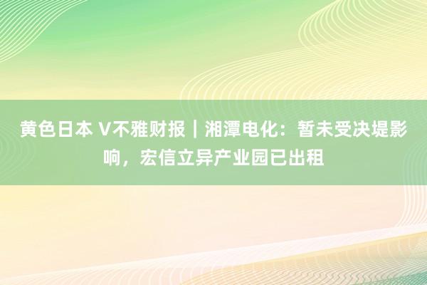 黄色日本 V不雅财报｜湘潭电化：暂未受决堤影响，宏信立异产业园已出租