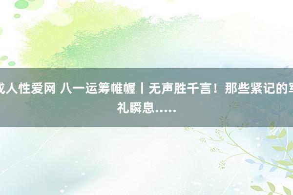 成人性爱网 八一运筹帷幄丨无声胜千言！那些紧记的军礼瞬息.....