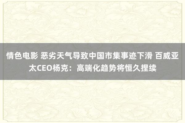 情色电影 恶劣天气导致中国市集事迹下滑 百威亚太CEO杨克：高端化趋势将恒久捏续