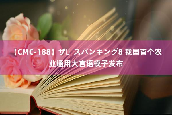 【CMC-188】ザ・スパンキング8 我国首个农业通用大言语模子发布