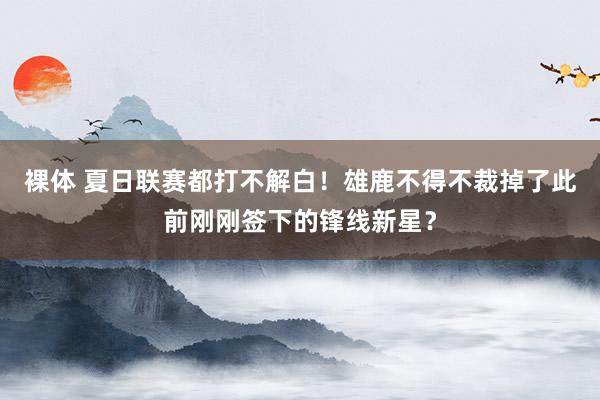 裸体 夏日联赛都打不解白！雄鹿不得不裁掉了此前刚刚签下的锋线新星？