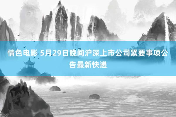 情色电影 5月29日晚间沪深上市公司紧要事项公告最新快递