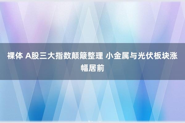 裸体 A股三大指数颠簸整理 小金属与光伏板块涨幅居前