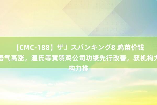 【CMC-188】ザ・スパンキング8 鸡苗价钱一语气高涨，温氏等黄羽鸡公司功绩先行改善，获机构力推