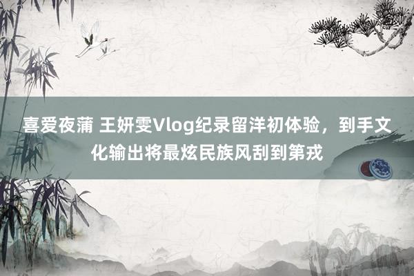 喜爱夜蒲 王妍雯Vlog纪录留洋初体验，到手文化输出将最炫民族风刮到第戎