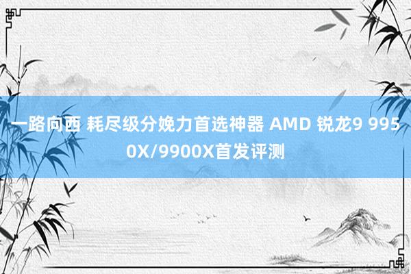 一路向西 耗尽级分娩力首选神器 AMD 锐龙9 9950X/9900X首发评测