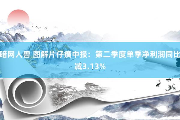 暗网人兽 图解片仔癀中报：第二季度单季净利润同比减3.13%