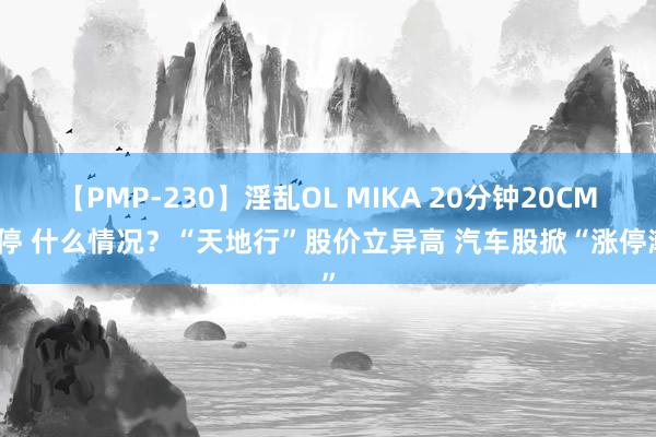 【PMP-230】淫乱OL MIKA 20分钟20CM涨停 什么情况？“天地行”股价立异高 汽车股掀“涨停潮”