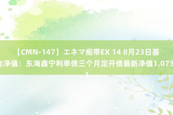 【CMN-147】エネマ痴帯EX 14 8月23日基金净值：东海鑫宁利率债三个月定开债最新净值1.0731