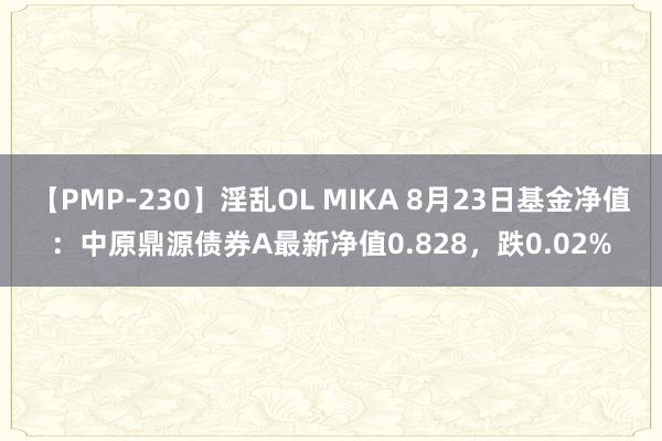 【PMP-230】淫乱OL MIKA 8月23日基金净值：中原鼎源债券A最新净值0.828，跌0.02%