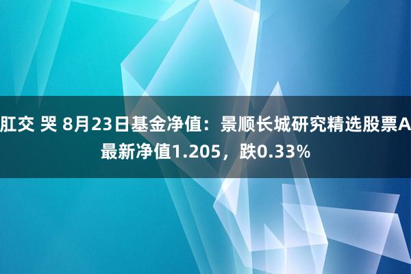 肛交 哭 8月23日基金净值：景顺长城研究精选股票A最新净值1.205，跌0.33%