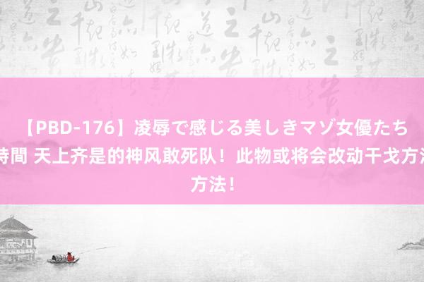 【PBD-176】凌辱で感じる美しきマゾ女優たち8時間 天上齐是的神风敢死队！此物或将会改动干戈方法！