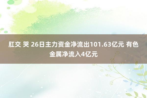 肛交 哭 26日主力资金净流出101.63亿元 有色金属净流入4亿元