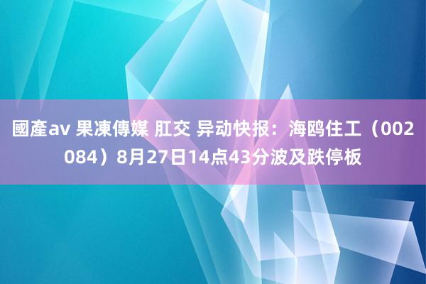 國產av 果凍傳媒 肛交 异动快报：海鸥住工（002084）8月27日14点43分波及跌停板