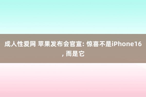 成人性爱网 苹果发布会官宣: 惊喜不是iPhone16， 而是它