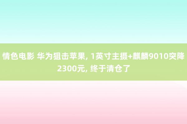 情色电影 华为狙击苹果， 1英寸主摄+麒麟9010突降2300元， 终于清仓了