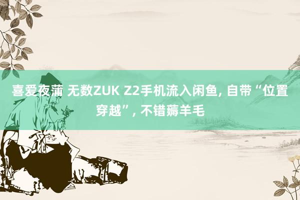 喜爱夜蒲 无数ZUK Z2手机流入闲鱼， 自带“位置穿越”， 不错薅羊毛