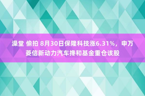 澡堂 偷拍 8月30日保隆科技涨6.31%，申万菱信新动力汽车搀和基金重仓该股