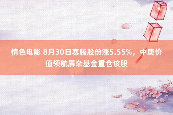 情色电影 8月30日赛腾股份涨5.55%，中庚价值领航羼杂基金重仓该股