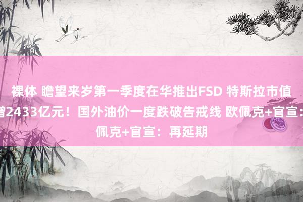 裸体 瞻望来岁第一季度在华推出FSD 特斯拉市值通宵大增2433亿元！国外油价一度跌破告戒线 欧佩克+官宣：再延期