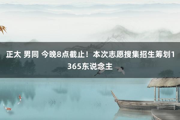 正太 男同 今晚8点截止！本次志愿搜集招生筹划1365东说念主