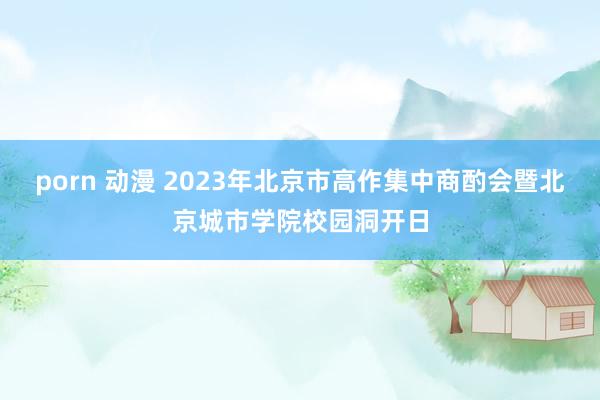 porn 动漫 2023年北京市高作集中商酌会暨北京城市学院校园洞开日