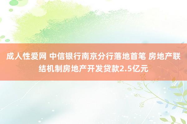 成人性爱网 中信银行南京分行落地首笔 房地产联结机制房地产开发贷款2.5亿元