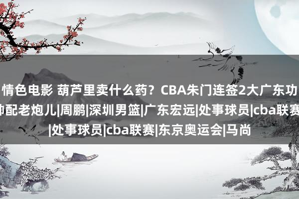 情色电影 葫芦里卖什么药？CBA朱门连签2大广东功勋放胆外助，新帅配老炮儿|周鹏|深圳男篮|广东宏远|处事球员|cba联赛|东京奥运会|马尚