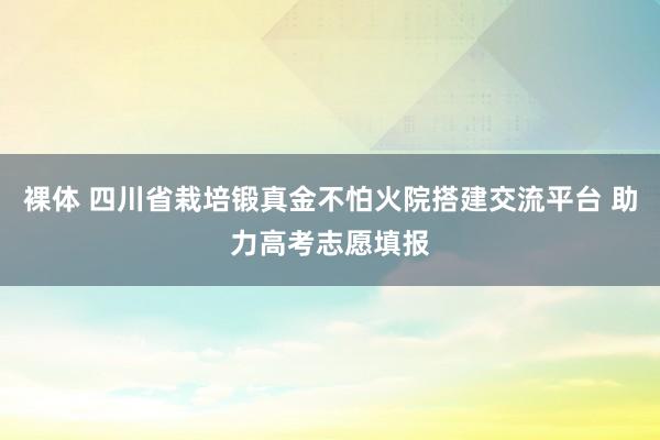 裸体 四川省栽培锻真金不怕火院搭建交流平台 助力高考志愿填报