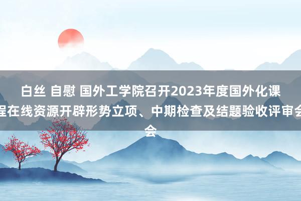 白丝 自慰 国外工学院召开2023年度国外化课程在线资源开辟形势立项、中期检查及结题验收评审会